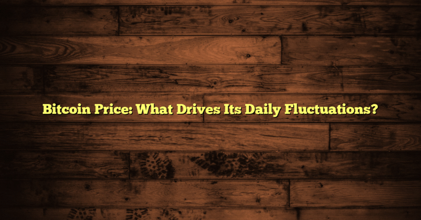 Bitcoin Price: What Drives Its Daily Fluctuations?